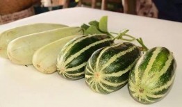 最新百万网红吃瓜,揭秘娱乐圈最新吃瓜盛宴！